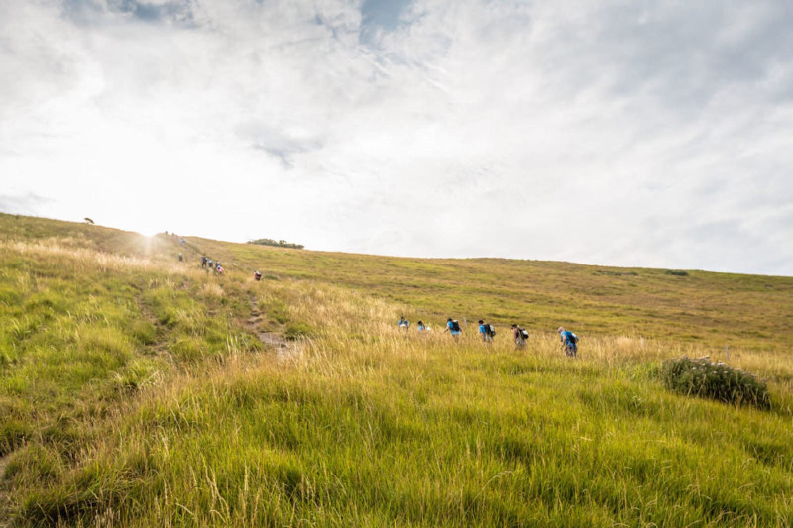 A group of hikers ascends a grassy hill under a partly cloudy sky. The path is worn, leading upward through the vibrant green field.