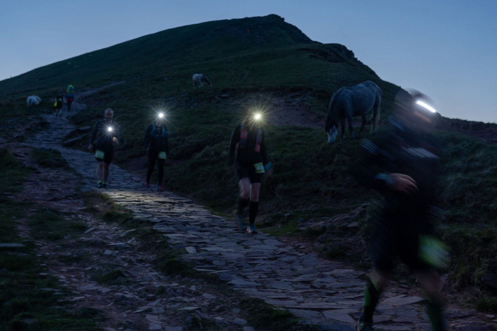 Runners with headlamps move along a stone path in a dimly lit outdoor setting, with a hill and grazing horses nearby. The sky appears to be at dusk or dawn.