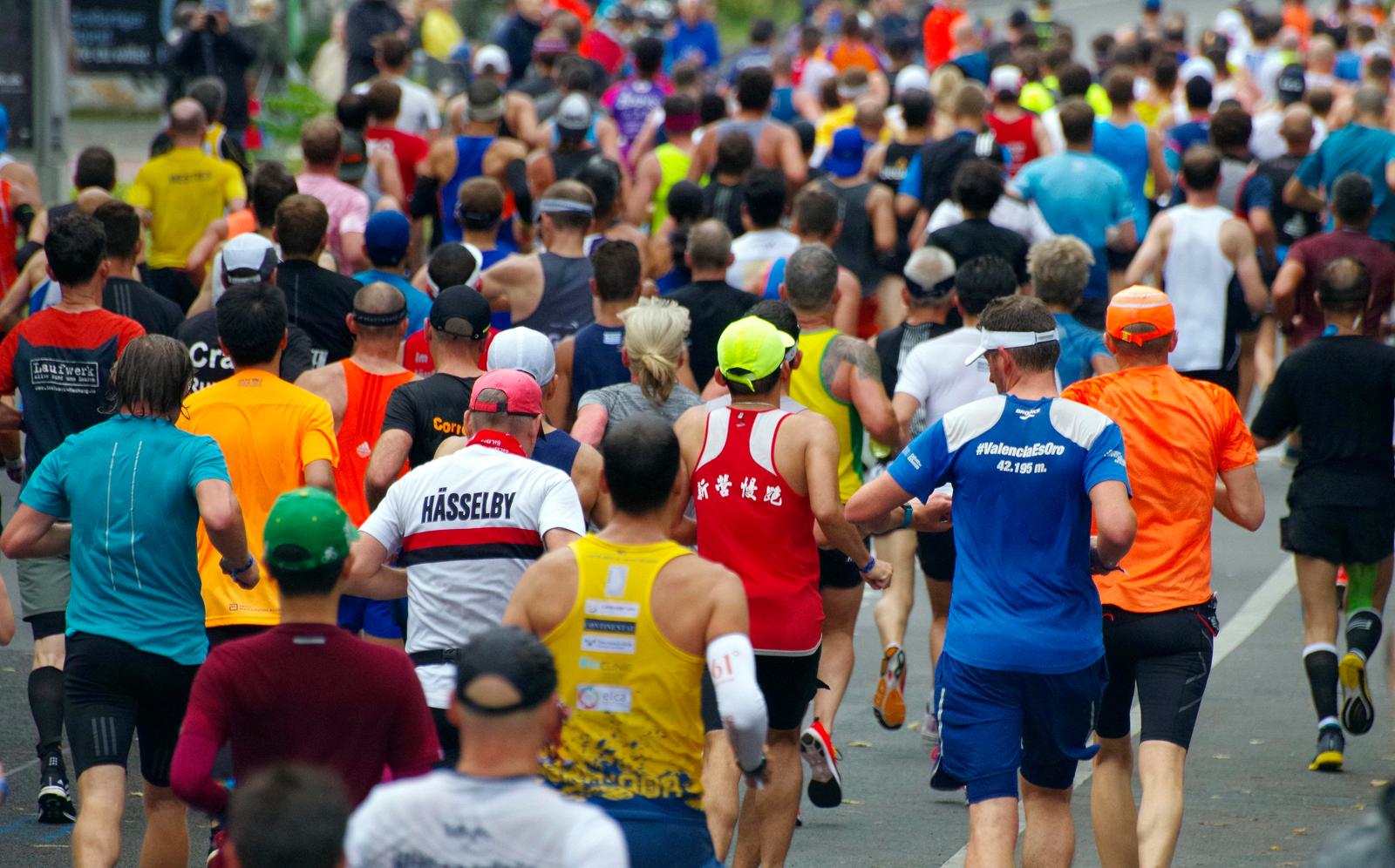 A large group of runners, wearing various colorful athletic gear, participate in a marathon. They are running on a road lined with trees. The focus is on their backs as they move forward.