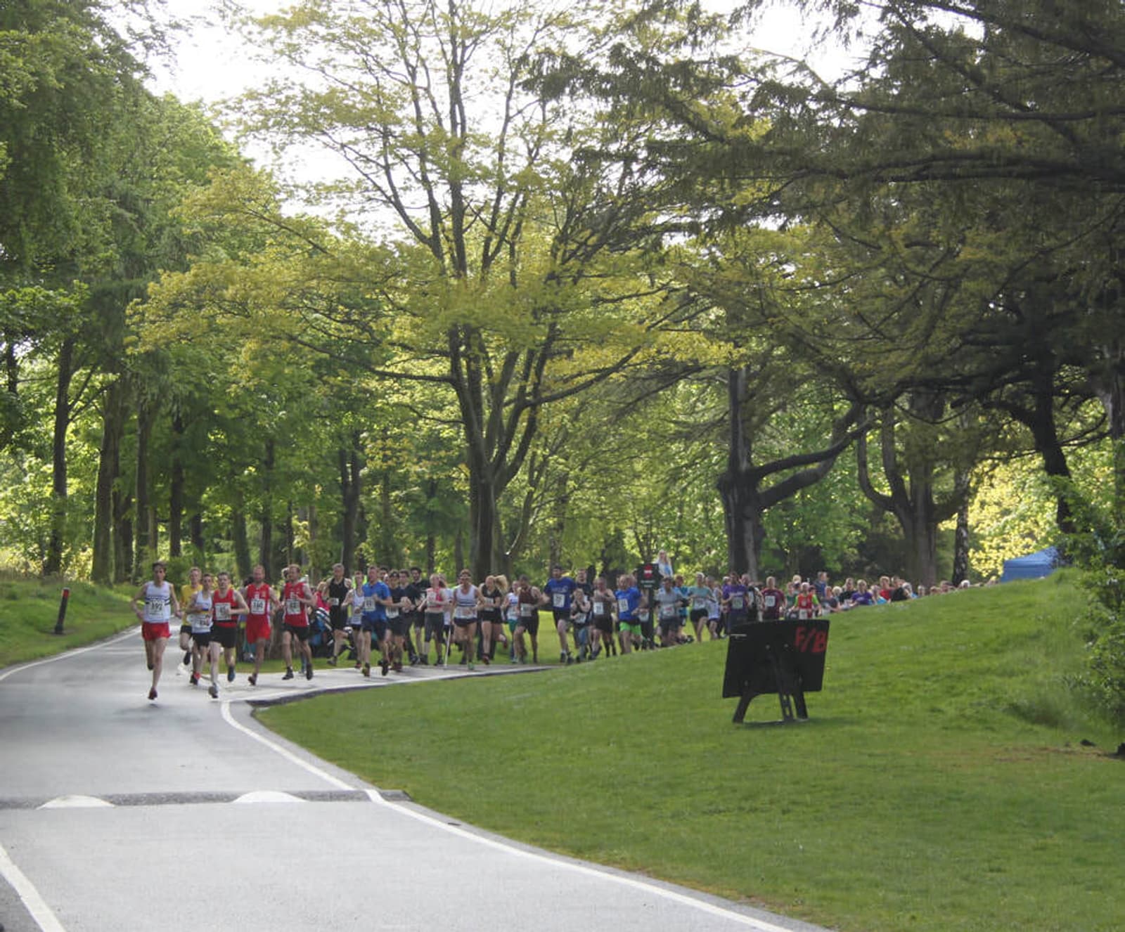 A large group of runners in colorful attire are participating in a race through a lush, green park. Trees with fresh, light green leaves line the path, and a timing sign is visible beside the road.