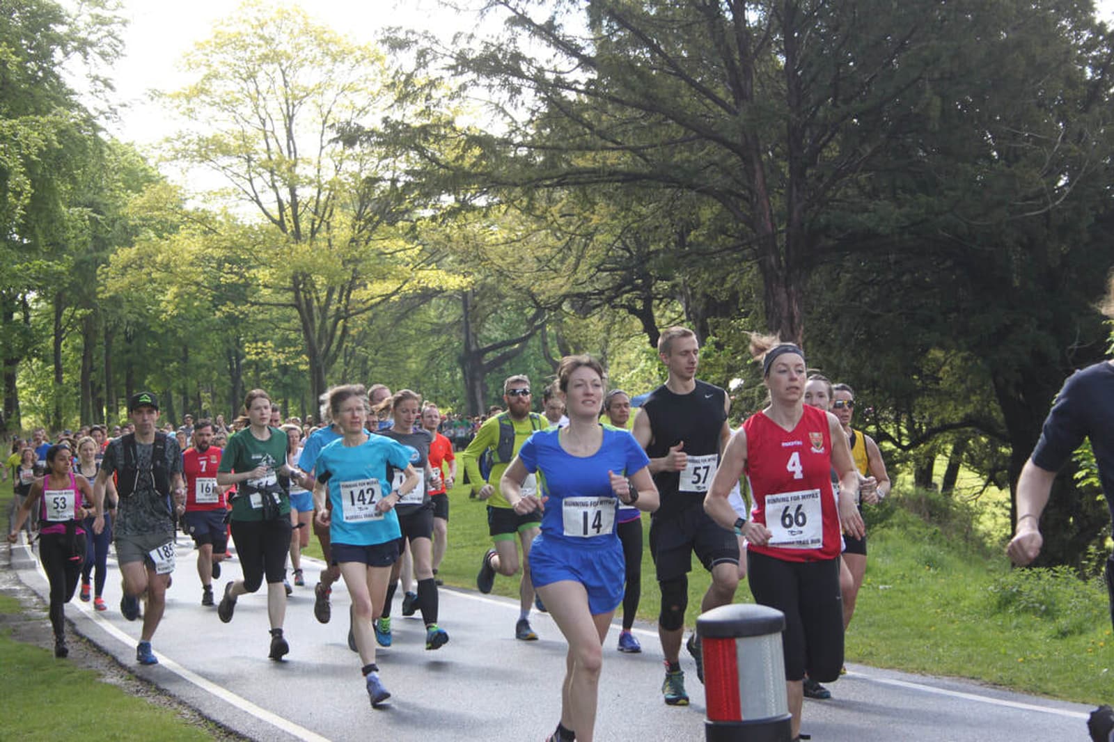 A group of runners participating in a race, moving along a tree-lined path. They wear various numbered bibs and athletic gear. The scene is lively, with lush green trees and sunlight filtering through the leaves.