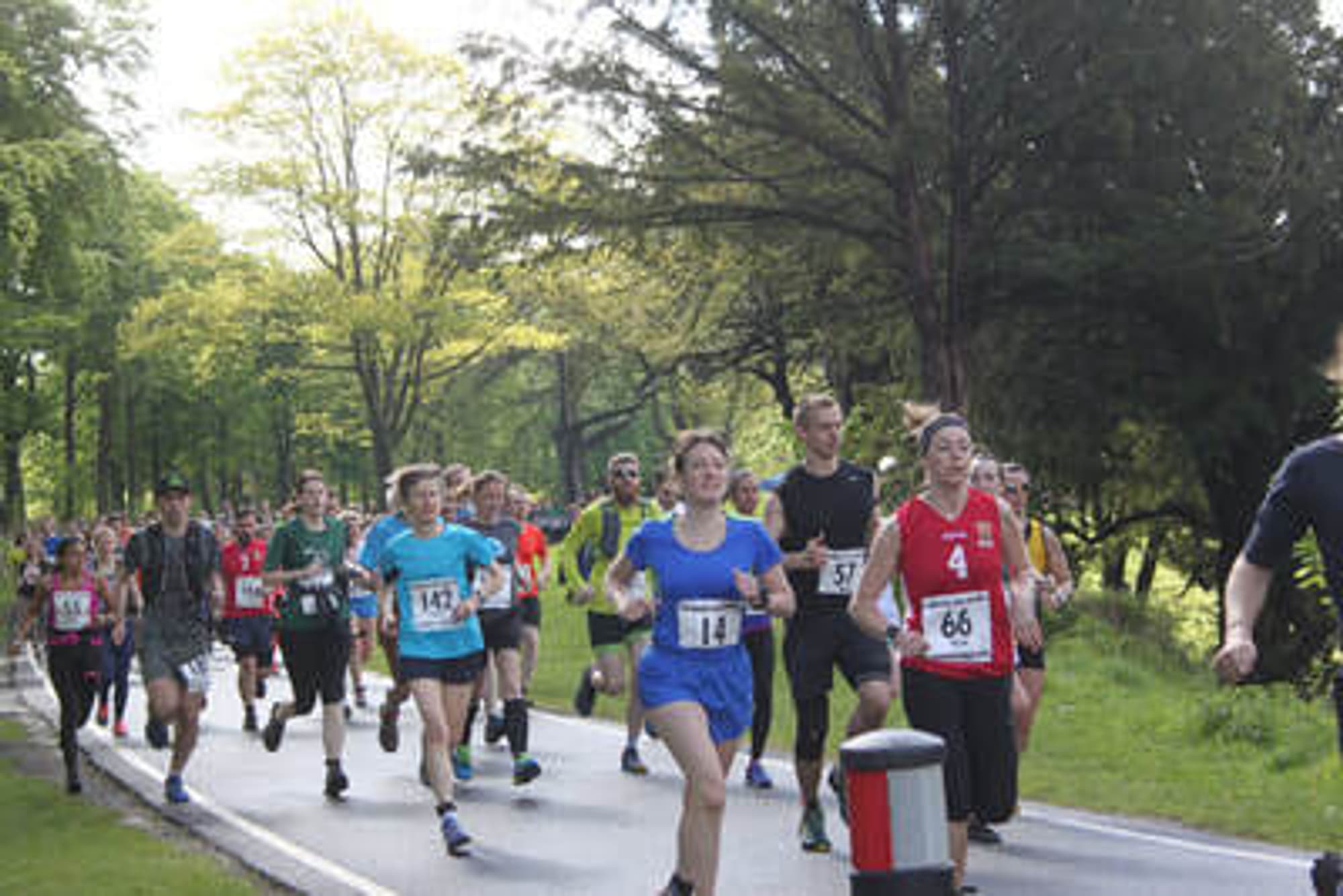 Bluebell Trail Run header image