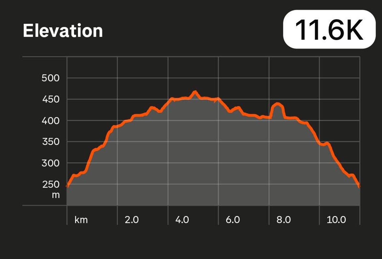 Graph showing elevation vs. distance for an 11.6 km route. Elevation starts at 250 m, peaks around 450 m near the middle, then drops back to 250 m at the end. A bold 11.6K is displayed in the top right corner.