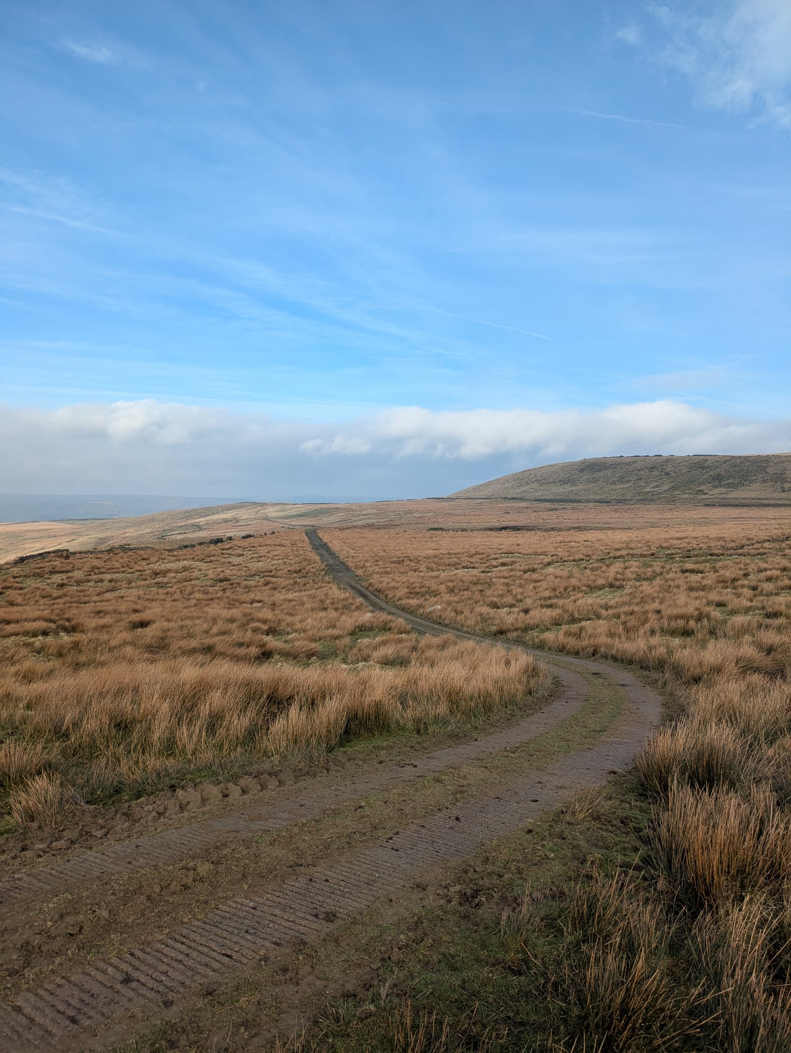 A winding dirt path cuts through a sprawling, grassy moorland under a vast blue sky with scattered clouds. The landscape is flat with gentle rolling hills in the distance, creating a peaceful, open atmosphere.