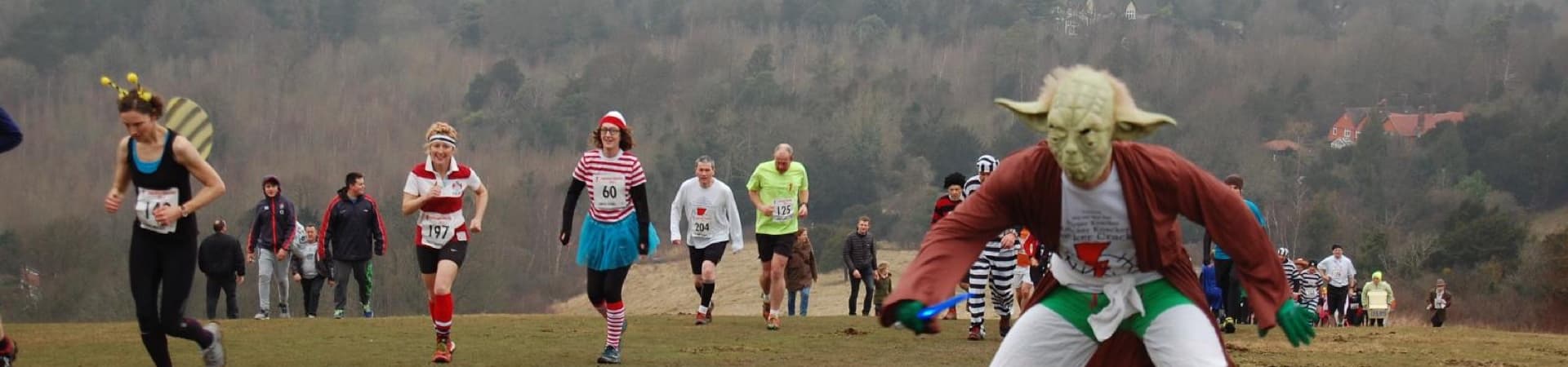 People dressed in various costumes, including a bee and Yoda, participate in a fun run across a grassy field. Other participants wear themed outfits like Where's Waldo and sports gear. Trees and hills form the background.