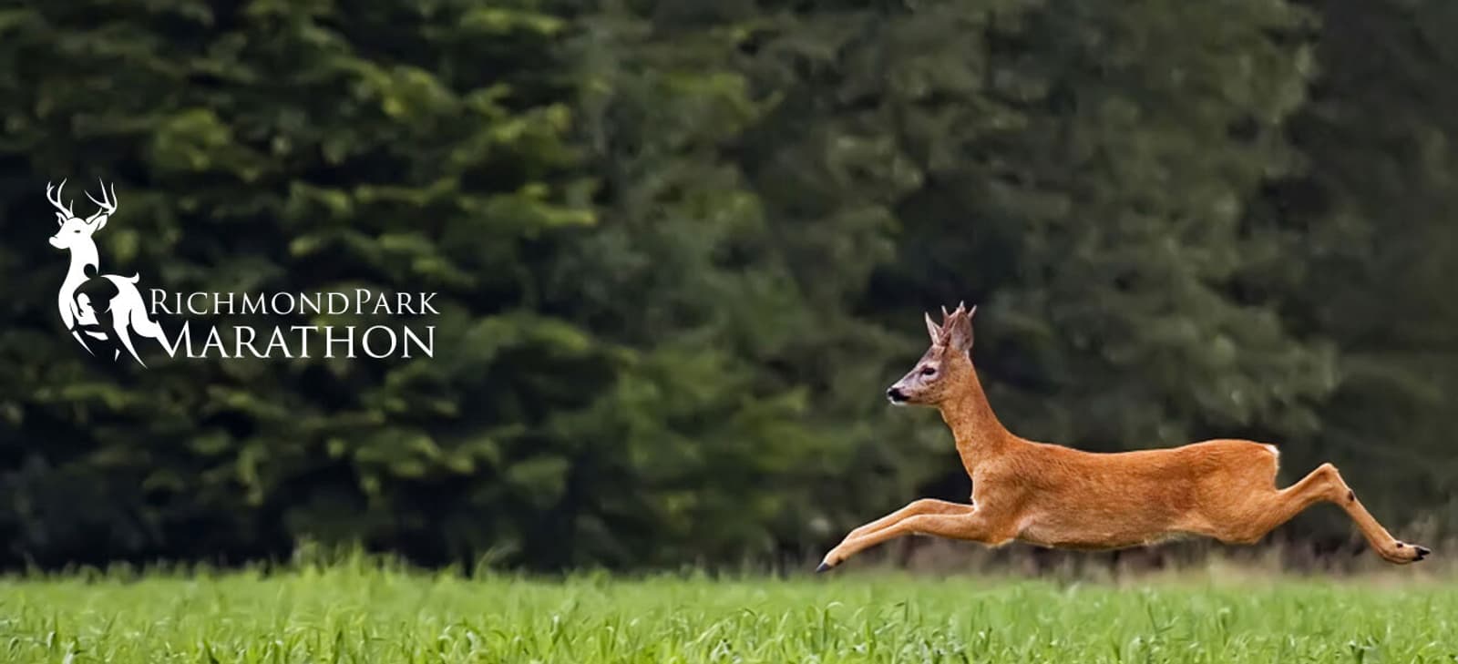 A deer is gracefully leaping in mid-air across a grassy field with lush green trees in the background. The words "Richmond Park Marathon" with a deer logo are on the left side.
