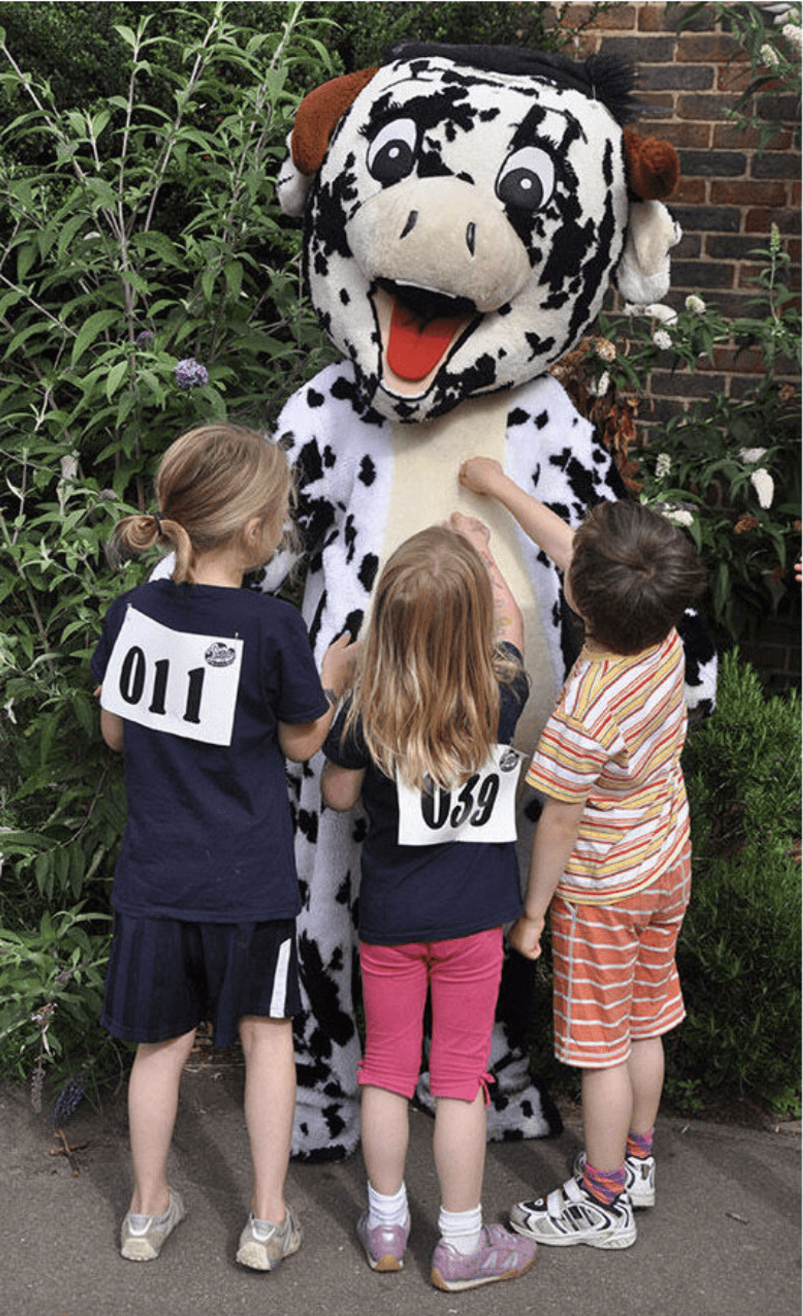 Three children with numbered bibs interact with a person in a large cow costume. They are outdoors, standing in front of green foliage and a brick wall. The kids appear curious and excited.