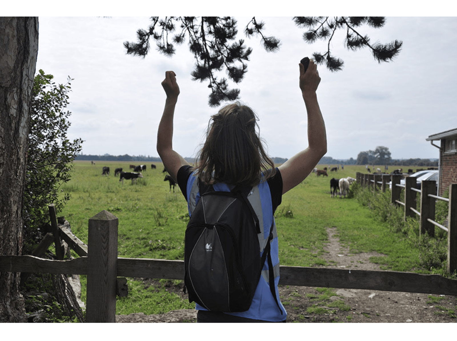 A person with long hair and a black backpack raises their arms while standing at a wooden fence overlooking a field with cows. A tree branch hangs overhead, and part of a building is visible to the right.