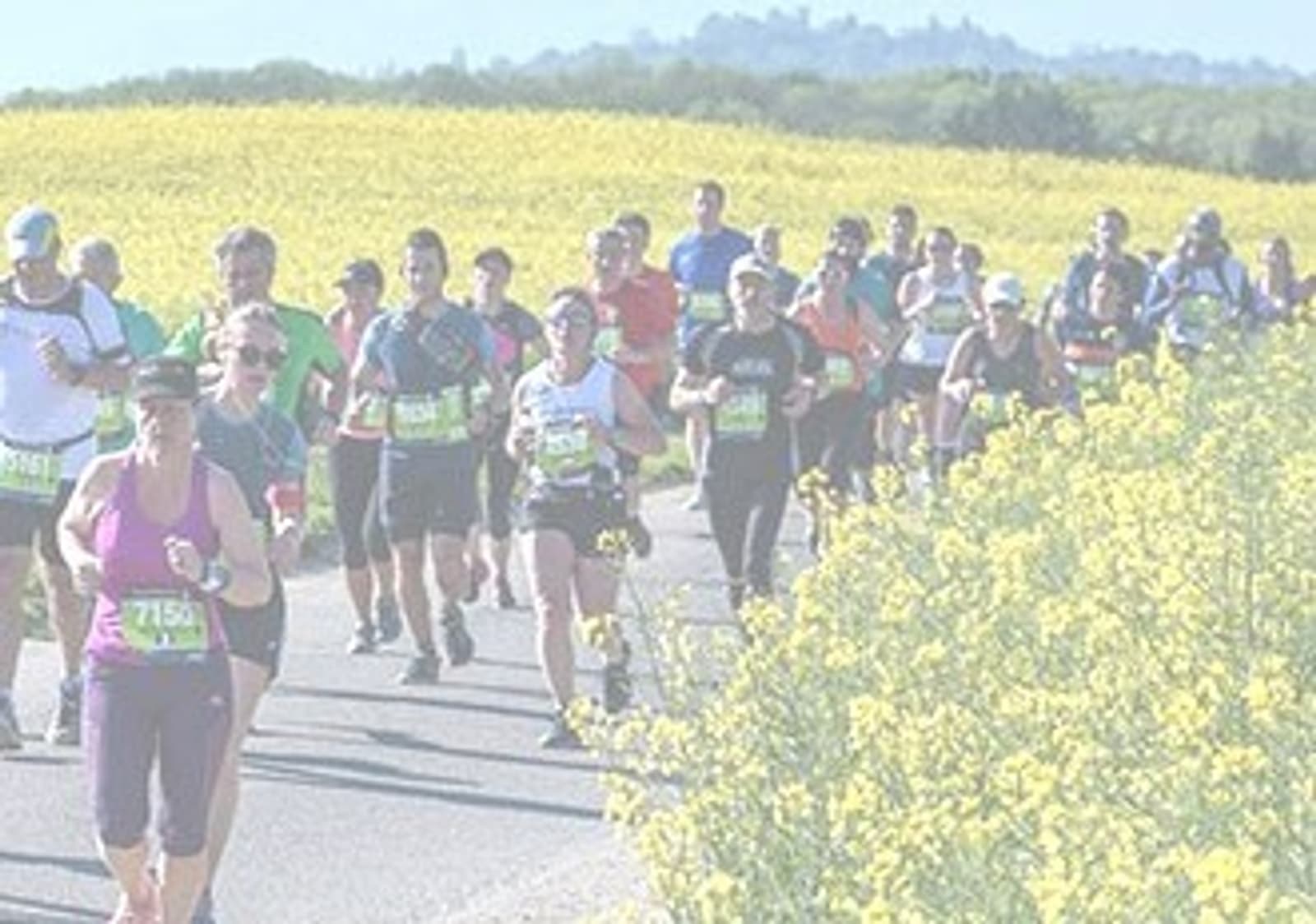 A group of marathon runners on a rural road, flanked by bright yellow flowering fields. The participants are wearing race gear and numbered bibs, running under a clear blue sky.