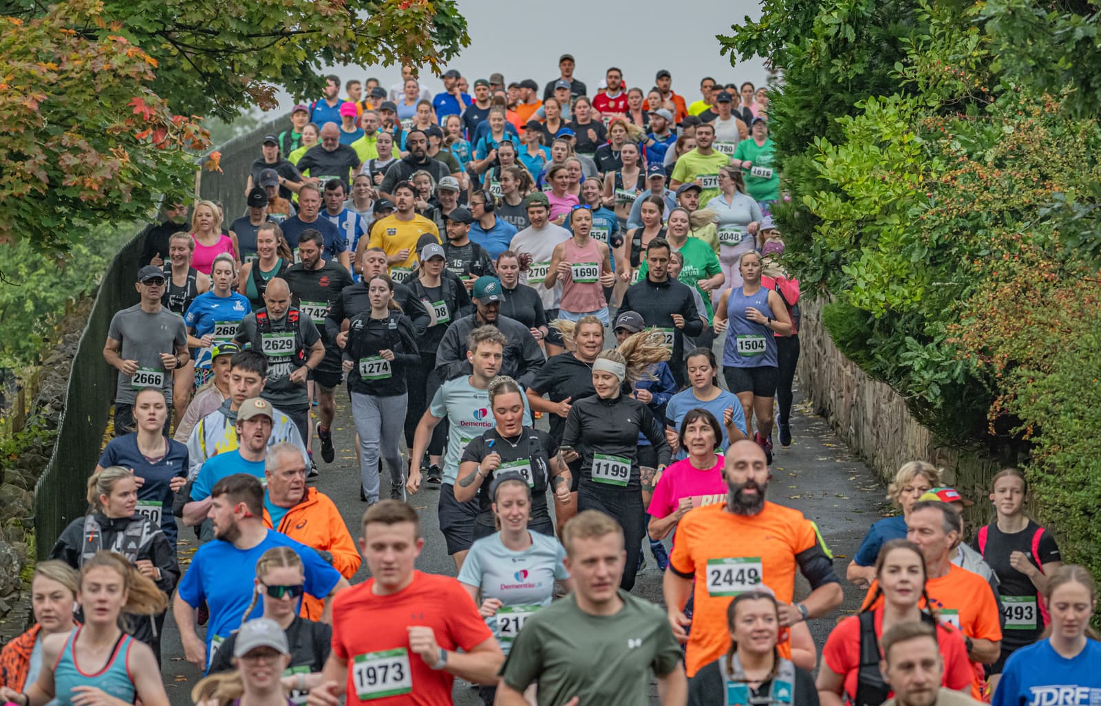 A large group of runners wearing race bibs participates in a marathon on a tree-lined path, with people of various ages and athletic wear moving forward together. Some spectators watch from the sides.