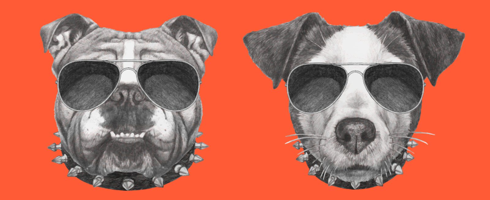 Two illustrated dogs wearing spiked collars and aviator sunglasses are shown side by side on an orange background. The left dog is a bulldog; the right dog has a lighter face and pointed ears.