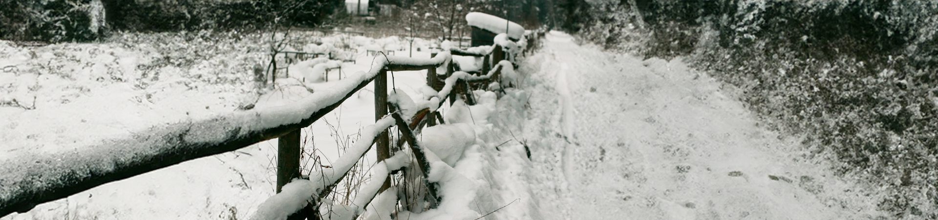 Slawit Snowstorm Shuffle