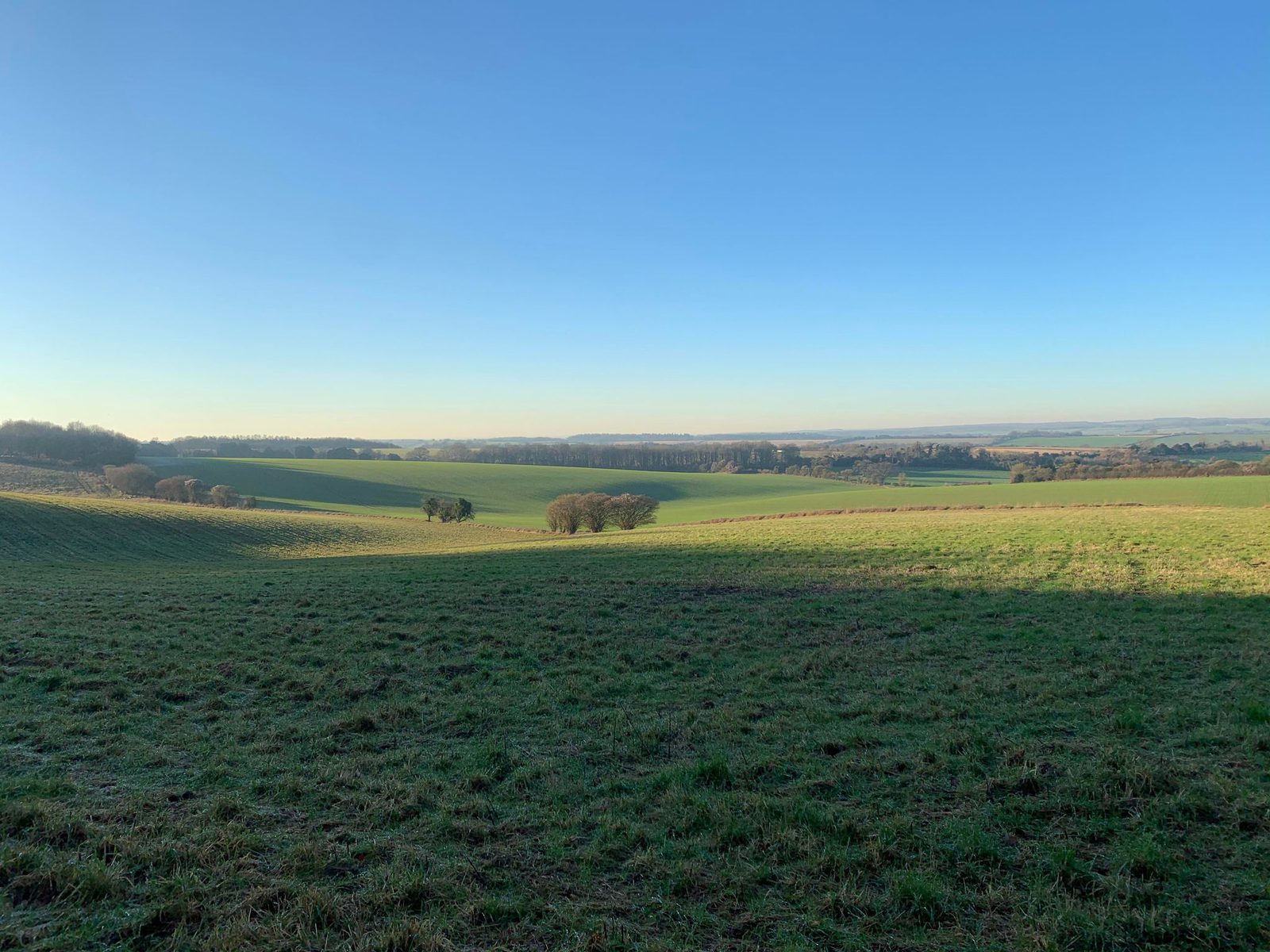 A panoramic view of a lush green landscape under a clear blue sky. Rolling hills stretch into the distance, dotted with small clusters of trees. The horizon is lined with distant forests and fields, basking in the soft light of the morning or late afternoon.
