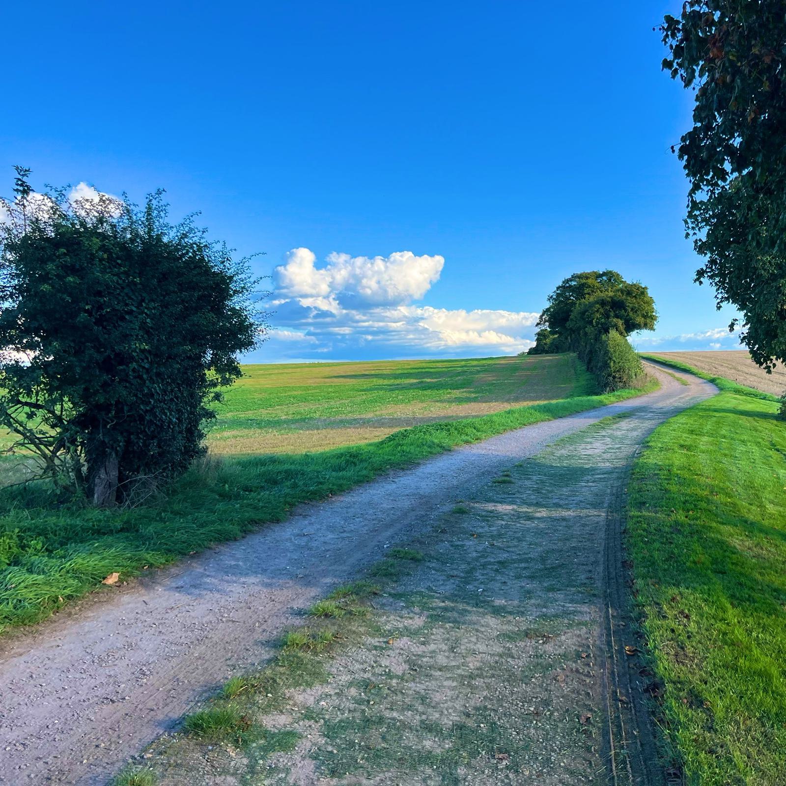 A winding dirt path stretches through a vibrant green meadow under a clear blue sky with scattered white clouds. Trees and bushes line the path on the left, while more trees are visible in the distance to the right. The scene exudes tranquility and natural beauty.