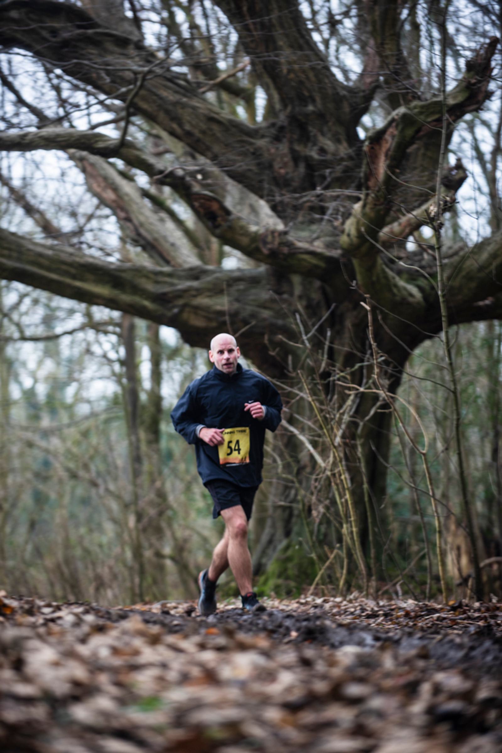 A person running on a forest trail, wearing a blue jacket and black shorts, with a yellow bib number 54. The background features bare trees and a large, leafless tree with twisted branches overhead. The ground is covered with fallen leaves.