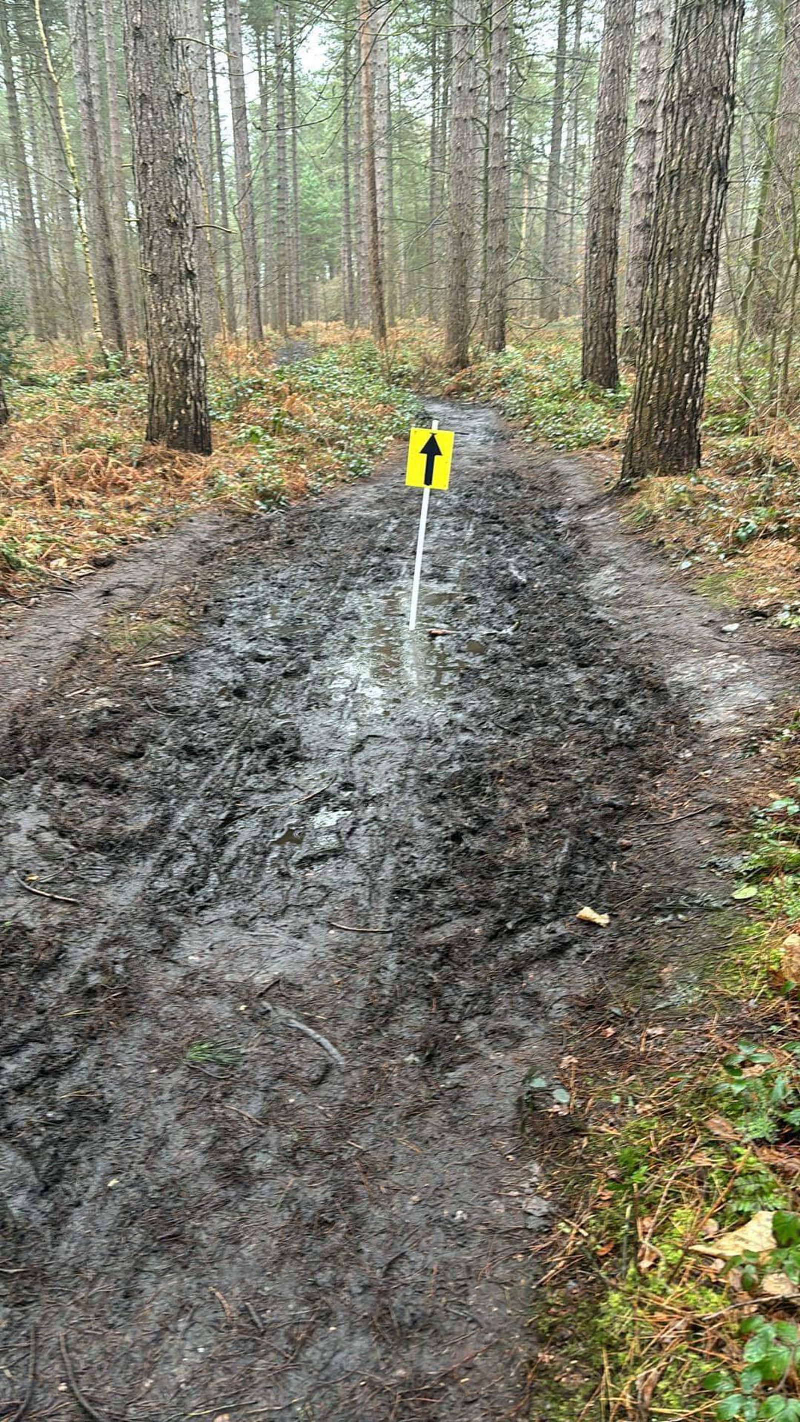 A muddy forest trail with a yellow signpost featuring a black arrow pointing forward. Tall trees line both sides of the path, and fallen leaves and branches are dispersed on the ground. The path is quite wet and muddy, indicating recent rainfall.