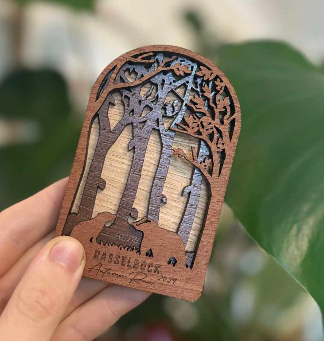 The Medal Madness Winter 2026
