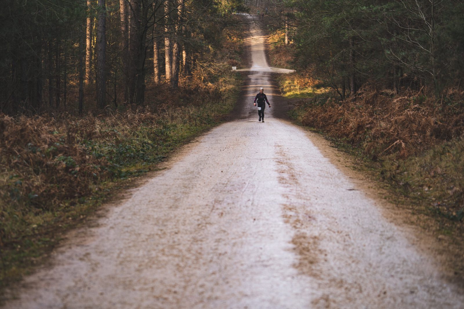 A person is riding a bike on a long, straight dirt path that cuts through a dense forest. Sunlight filters through the trees casting dappled shadows on the road. The scene appears serene and the path stretches off into the distance.