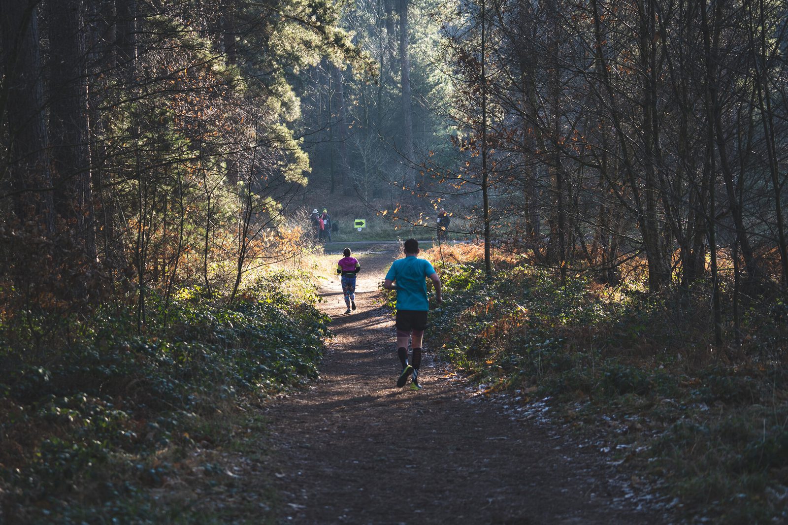 A group of people jogs along a tree-lined trail in a forest on a clear day. Sunlight filters through the trees, casting dappled shadows on the path. The joggers wear athletic clothing, with one person in a blue shirt leading the way.