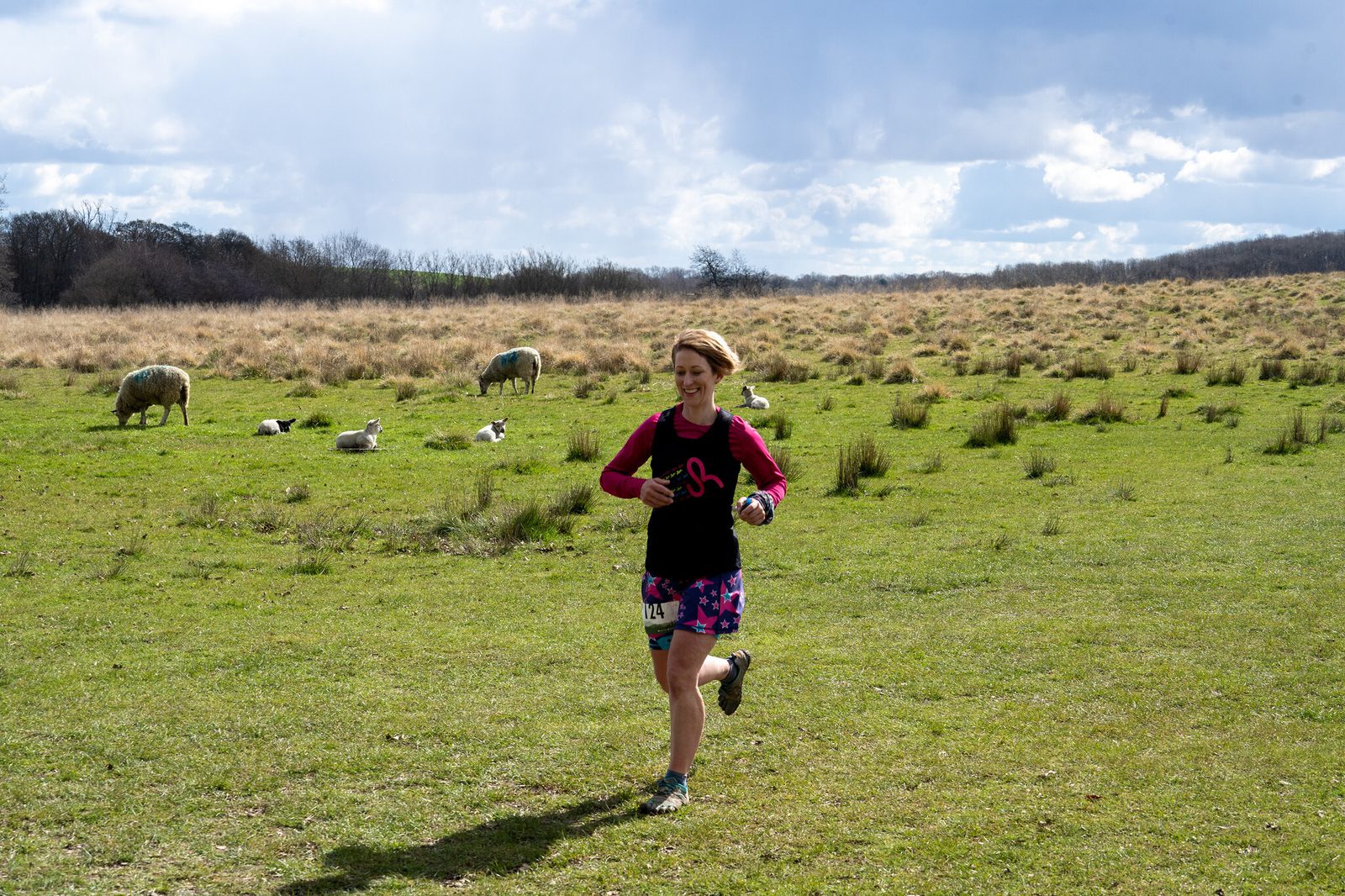 A person is running in a grassy field with several sheep grazing in the background. The sky is partly cloudy, and the person is wearing athletic gear, including a black top, colorful shorts, and a race number on their shorts. .