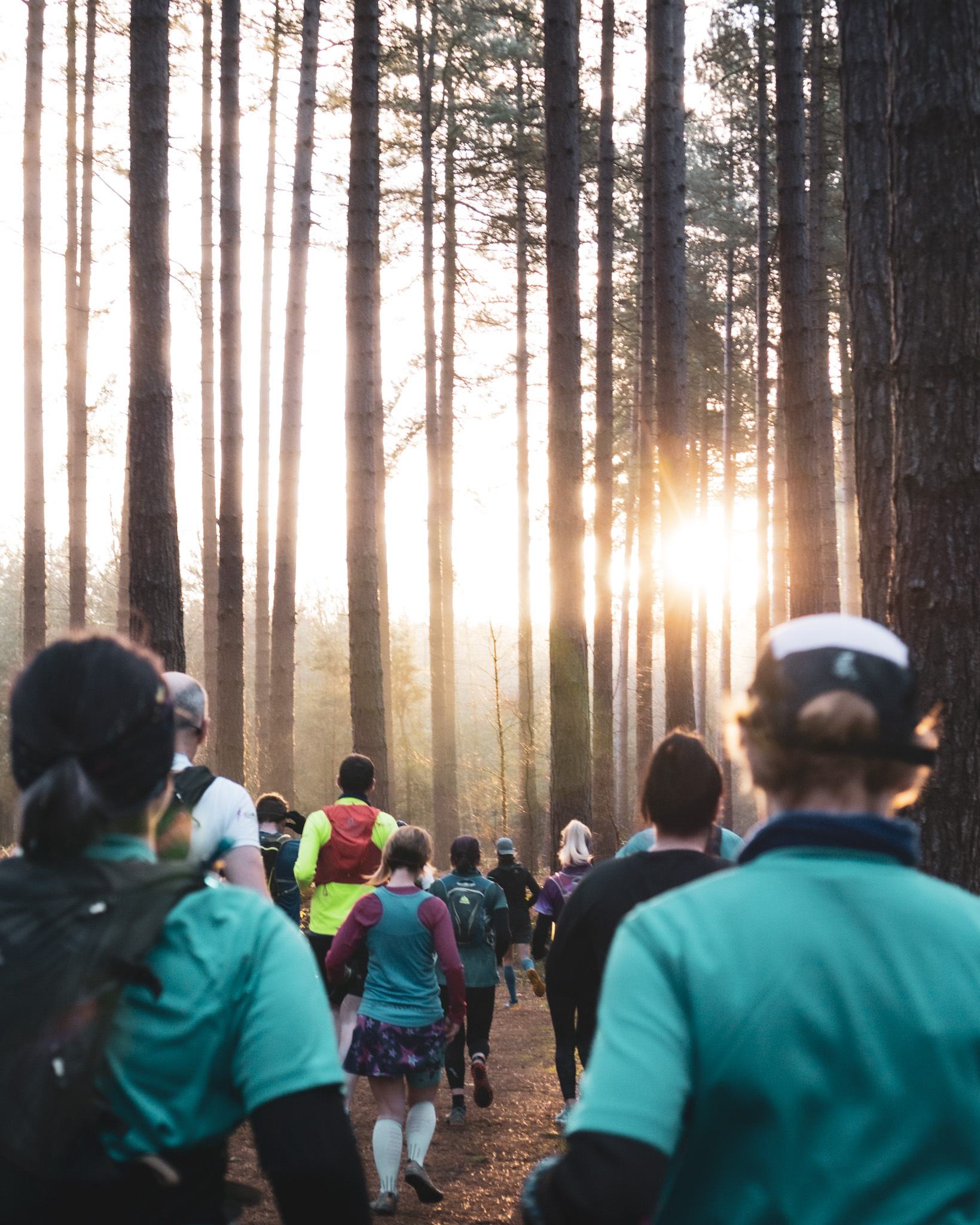 A group of people runs through a forest with tall trees as sunlight filters through. The runners, wearing various athletic gear and backpacks, follow a path, heading towards the bright sun in the distance. Some runners have on hats and jackets, and the atmosphere seems brisk.