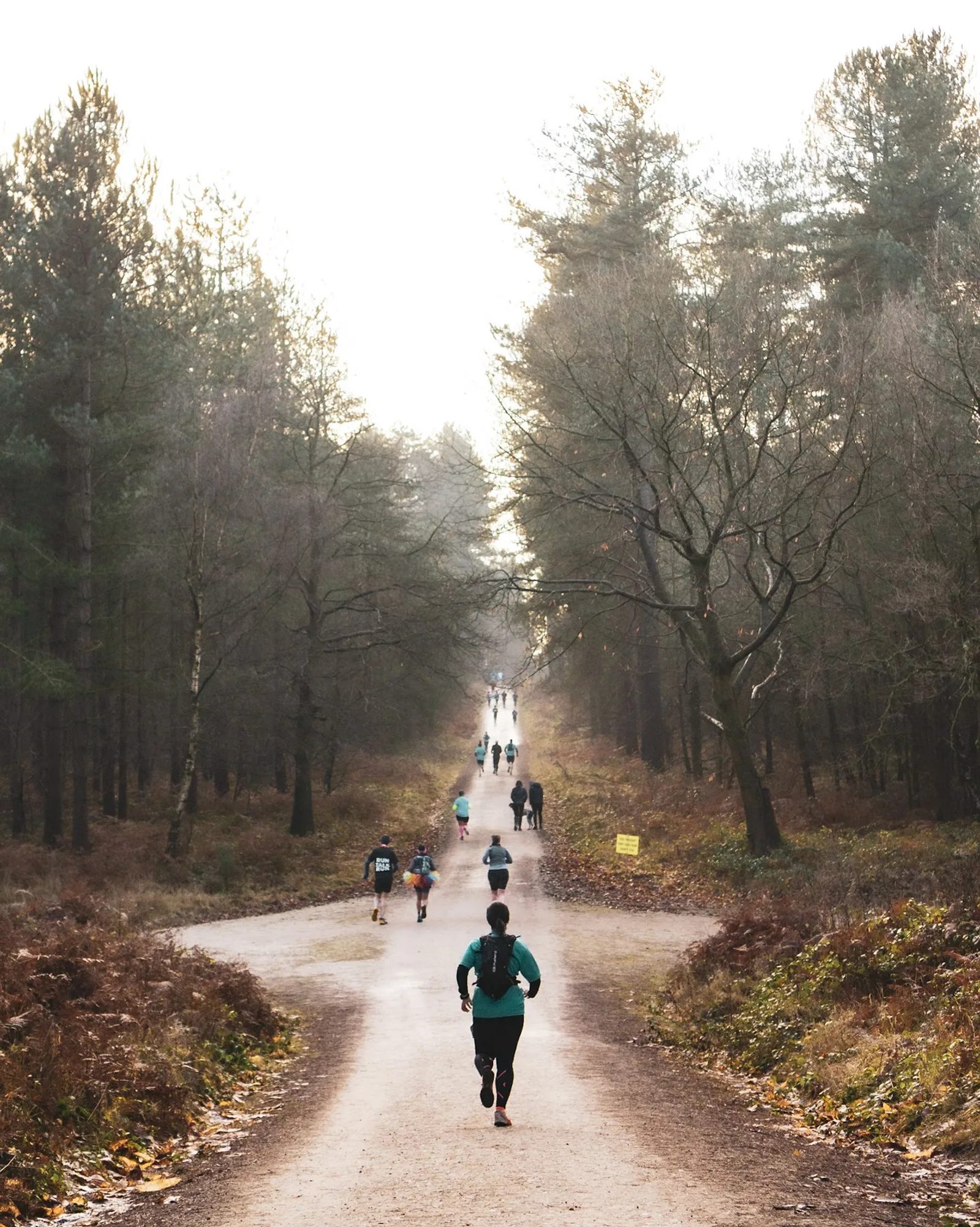 A group of people, seen from the back, run along a dirt trail through a forest. The tall trees on either side of the path have sparse leaves, indicating late autumn or early winter. The runners are spaced out, with some further along the trail and others closer to the front.