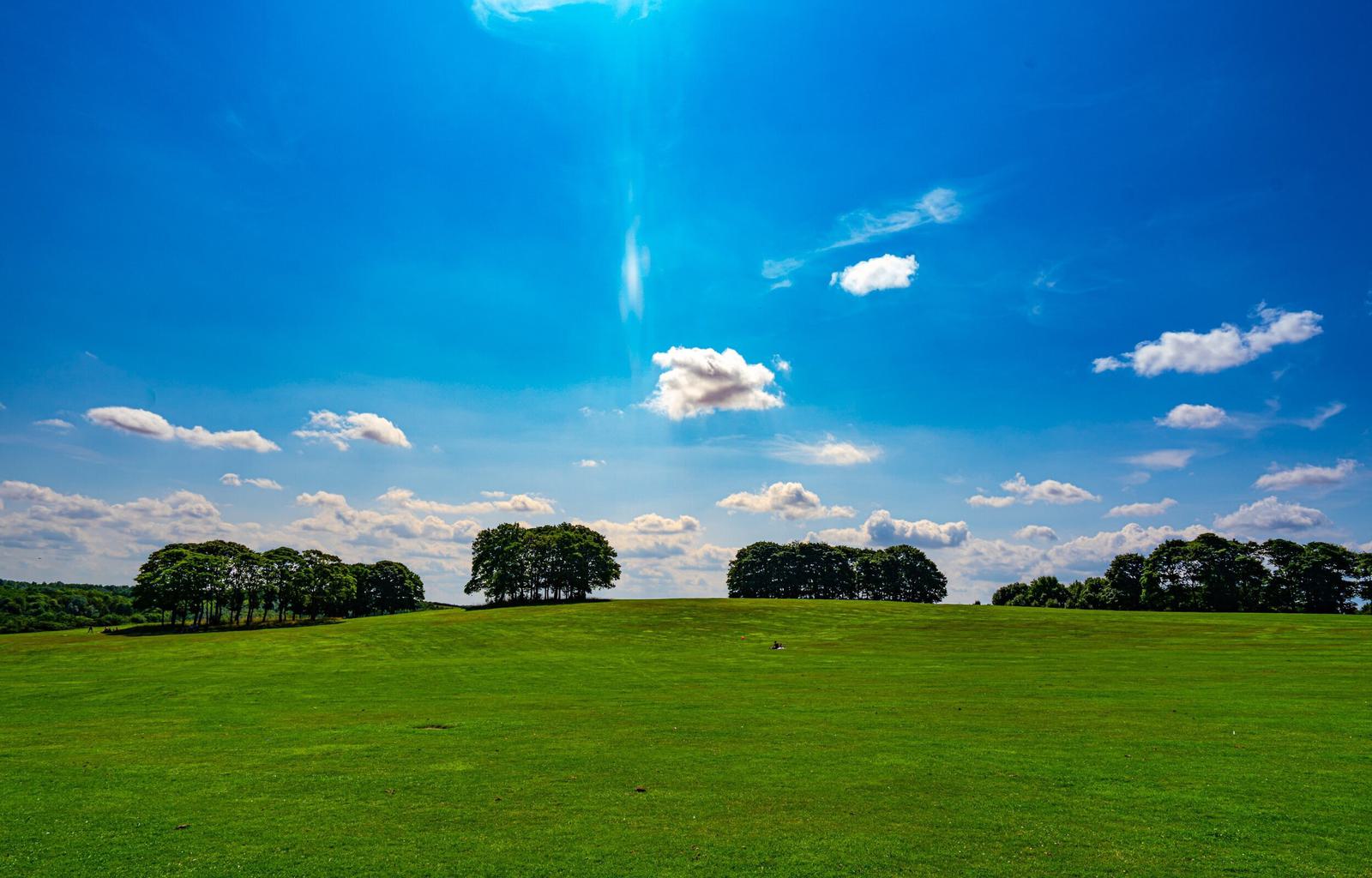 A vibrant green field stretches under a clear blue sky. Small, fluffy clouds dot the horizon, and a line of trees stands in the distance, creating a serene landscape.