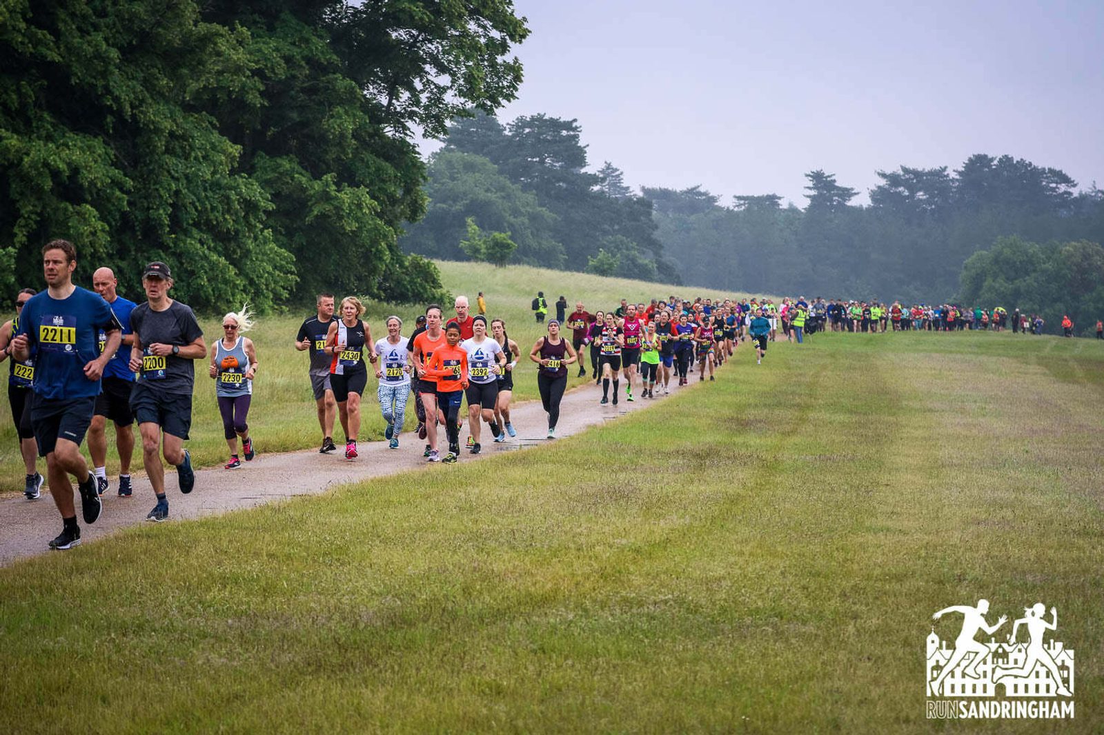 A large group of runners participates in a road race through a scenic, grassy area with trees in the background. Various participants wear different colored running attire. The sky is overcast, and a race logo is visible in the bottom right corner.
