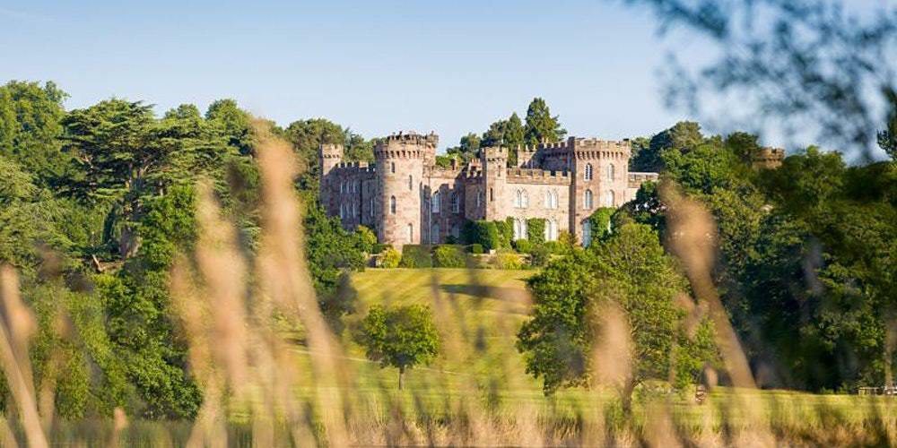 A historic castle with multiple turrets and battlements sits atop a verdant hill, surrounded by lush greenery and tall trees. The scene is viewed through blades of tall grass in the foreground, providing a picturesque and serene landscape.