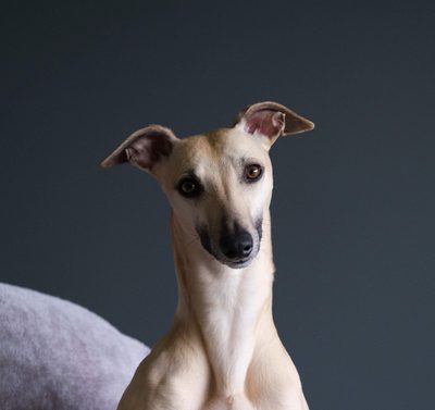 Karl Bratby profile picture