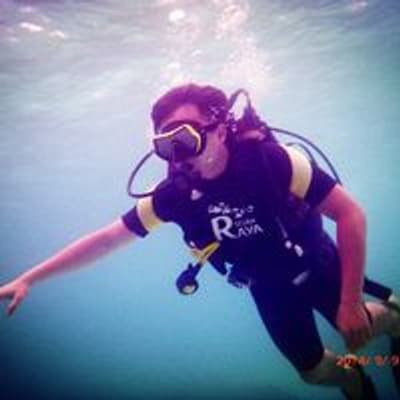 Lam Ho profile picture