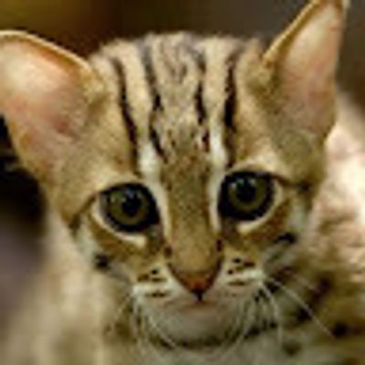 Jayme Jay profile picture