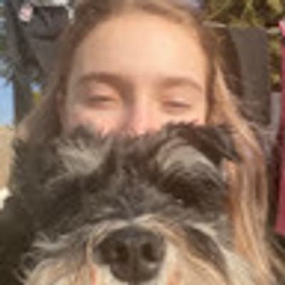 Alex Rainbow profile picture