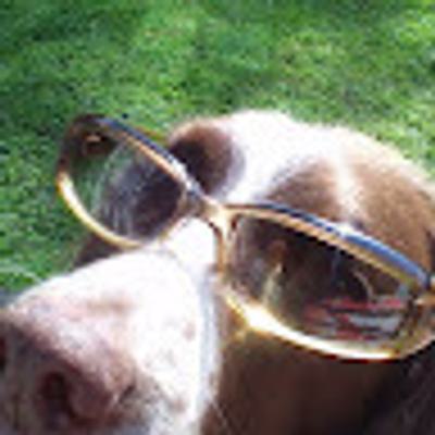 janita rayment profile picture