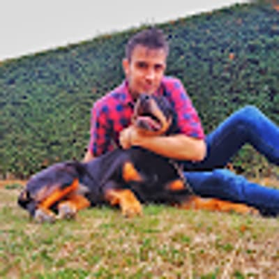 Massimo Masala profile picture