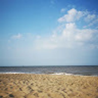 Nikita Silvester-Grant profile picture