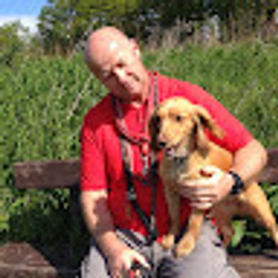 Robert Bocking profile picture