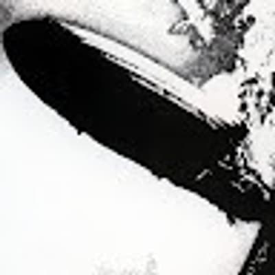 Callum Malcolm profile picture