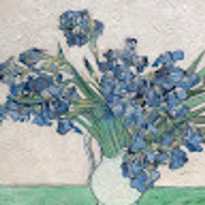 Anne Williams profile picture