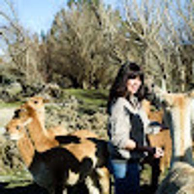 Phoebe Scrivener profile picture