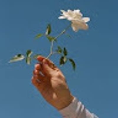 Miriam A profile picture