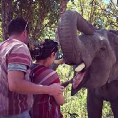 Lee McLaughlin profile picture