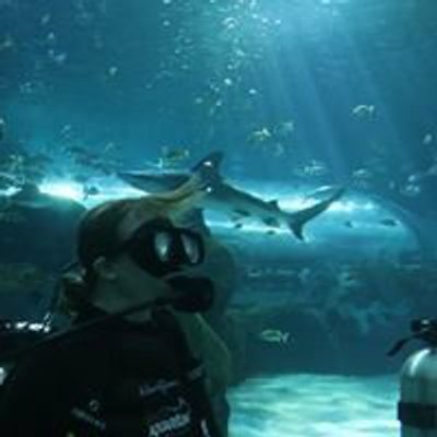 Natalie Lamb profile picture