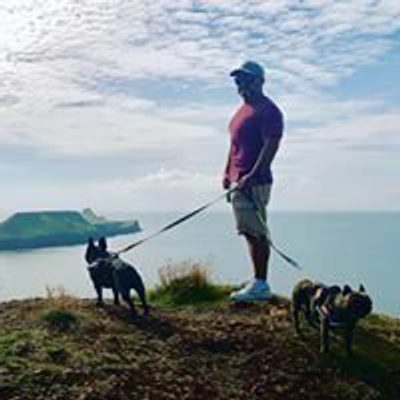 James Davies profile picture