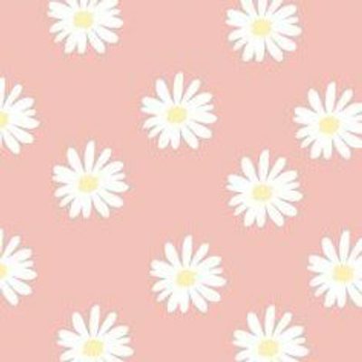 Lucy Fogel profile picture