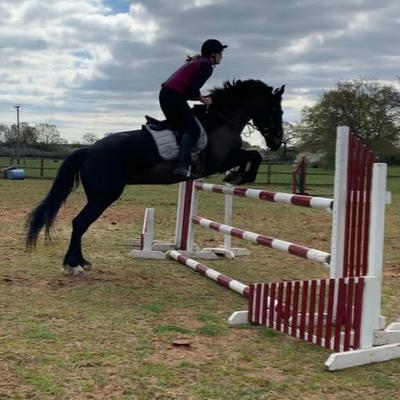 Lindsay Moxon profile picture