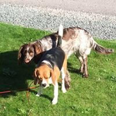 Lee Varnham profile picture