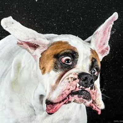 Brendan Harvey profile picture