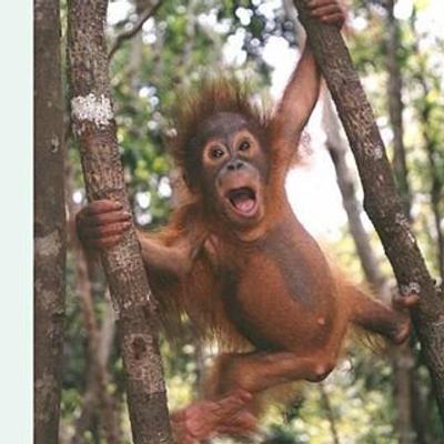 Tom Kirkbride profile picture