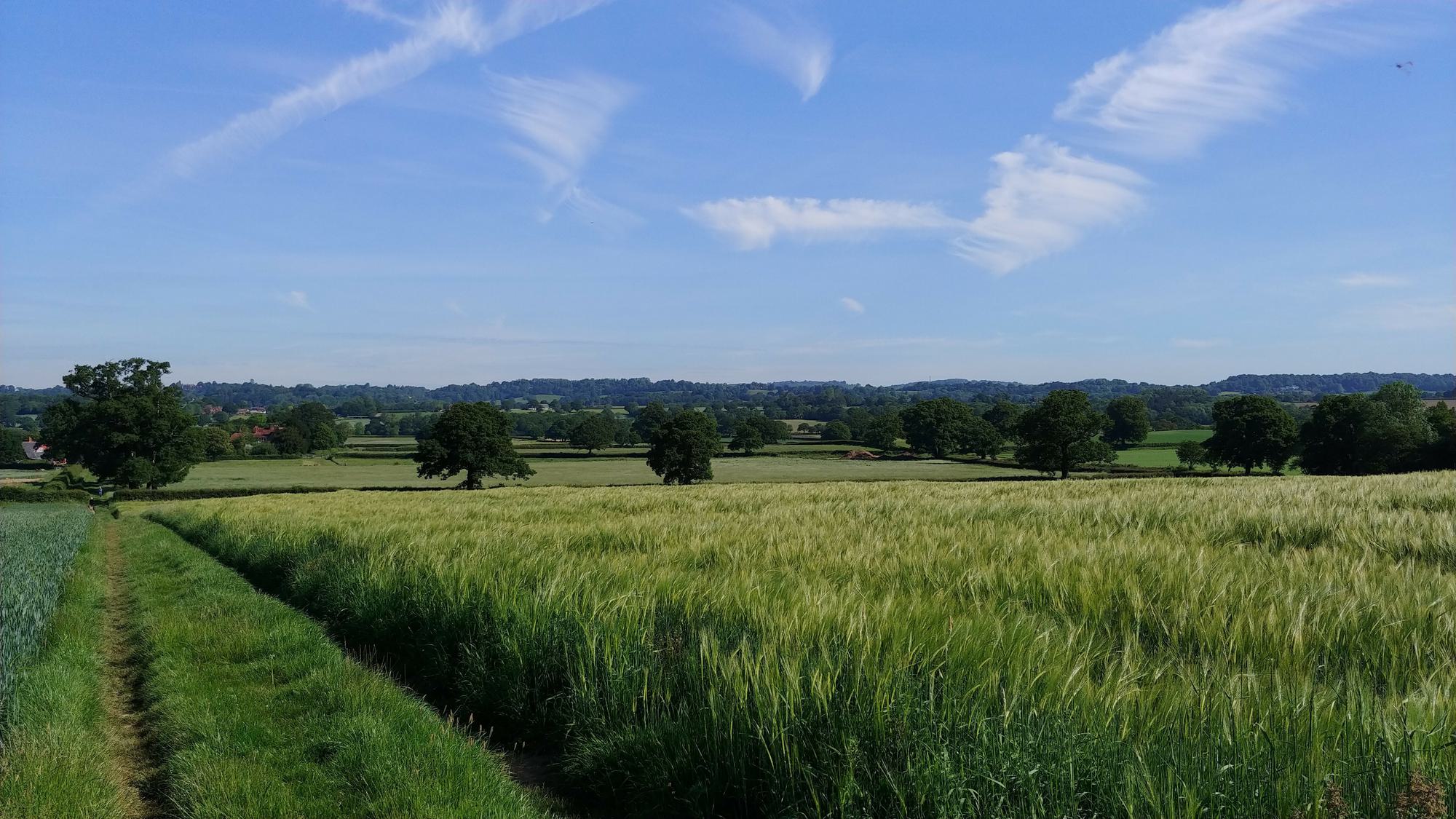 Richard Mouland header image